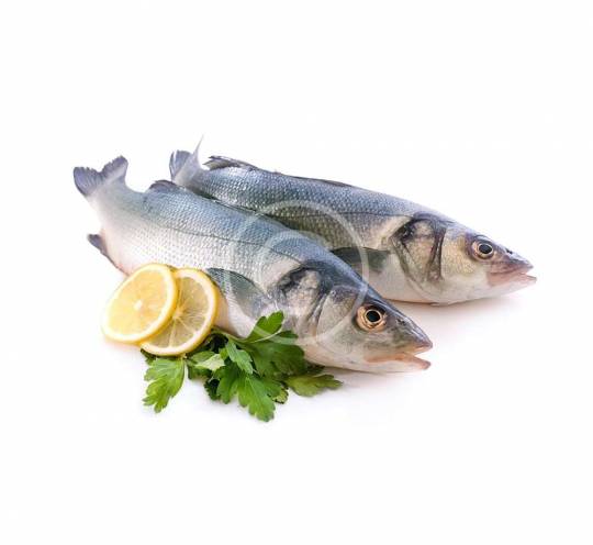 Tiger Trout