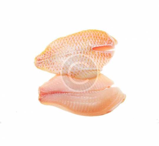 Snapper